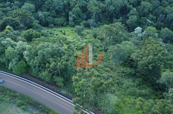 CHÁCARA COM 20.000m² HÁ APENAS 5KM DE PATO BRANCO/PR - Foto 9