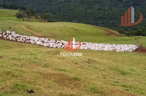 Imóveis rurais para venda,  - Selecione - Bairro, Nova Laranjeiras
