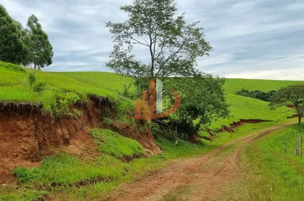 FAZENDA COM DUPLA APTIDÃO, 210 ALQUEIRES, REGIÃO CENTRO SUL DO PARANÁ - Foto 6