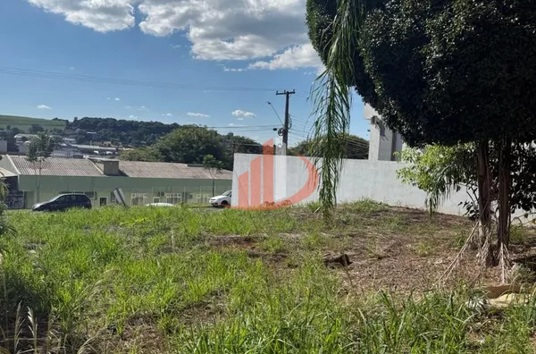 TERRENO COM 455m² PRÓXIMO À RODOVIÁRIA EM PATO BRANCO/PR - Foto 19