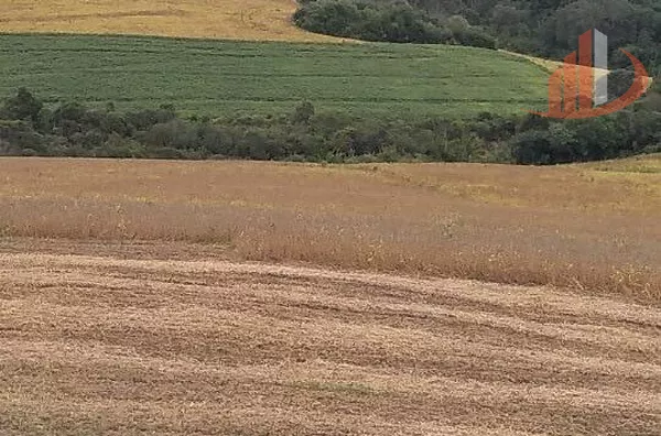 FAZENDA EM PALMAS NO PARANÁ