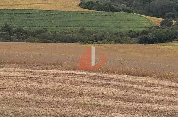 FAZENDA EM PALMAS NO PARANÁ