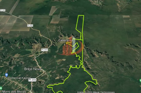 FAZENDA COM 1800 HECTARES NO PIAUÍ - Foto 1