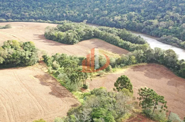FAZENDA PRÓXIMA A PATO BRANCO PARA VENDA - Foto 15