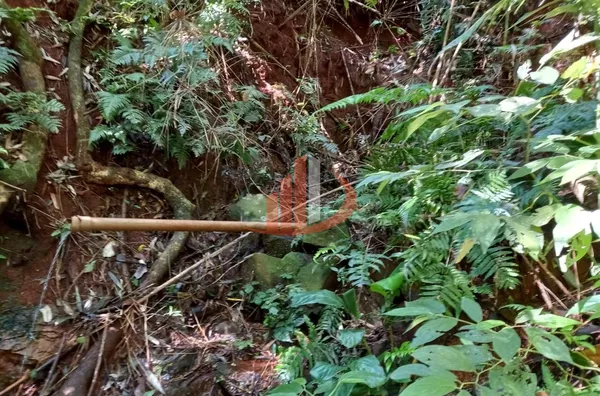 CHÁCARA COM 2,5 ALQUEIRES À VENDA EM VITORINO/PR - Foto 26