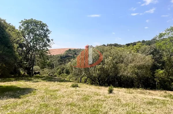CHÁCARA COM 2,5 ALQUEIRES À VENDA EM VITORINO/PR - Foto 11