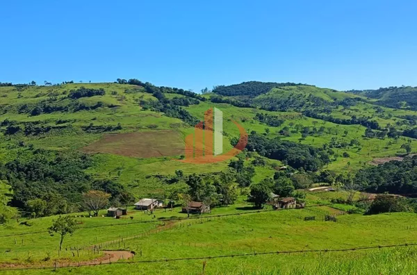 VENDE-SE FAZENDA A 24KM DE NOVA LARANJEIRAS! - Foto 11