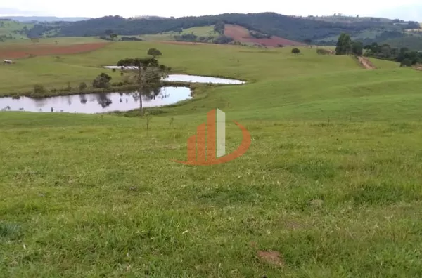 FAZENDA COM DUPLA APTIDÃO, 210 ALQUEIRES, REGIÃO CENTRO SUL DO PARANÁ - Foto 24