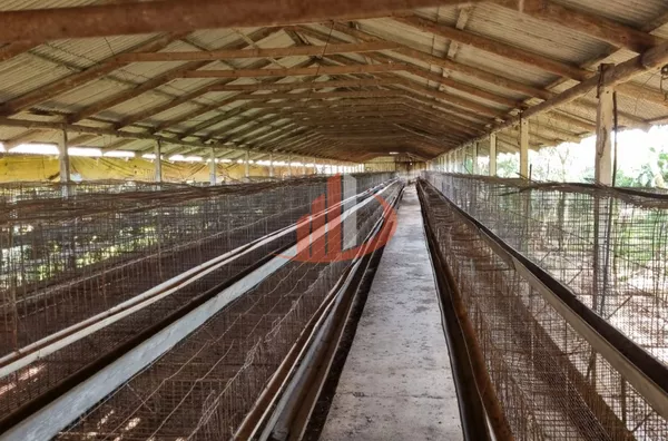 CHÁCARA COM 20 MIL m² Á VENDA EM PATO BRANCO/PR - Foto 42
