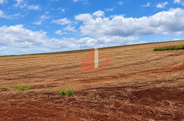 FAZENDA MODELO — OESTE DO PARANÁ - Foto 3
