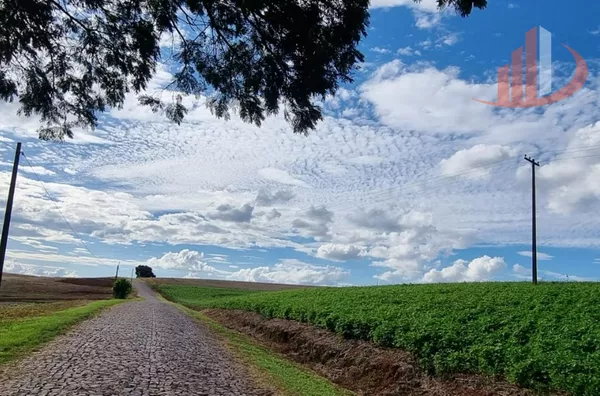 Fazenda para venda,  Zona Rural, Pato Branco