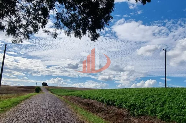 Fazenda para venda,  Zona Rural, Pato Branco