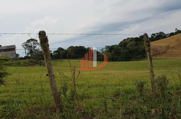 FAZENDA COM 203,5 ALQUEIRES À VENDA NO SUDOESTE DO PARANÁ. - Foto 15