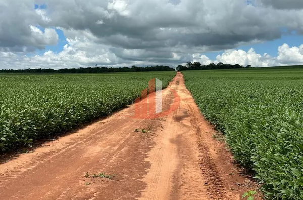 FAZENDA À VENDA EM DOURADOS/MS - Foto 10