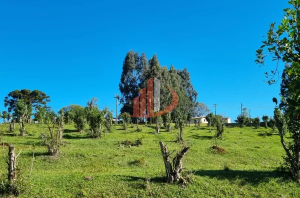 CHÁCARA COM 5 HECTARES PRÓXIMO A PATO BRANCO - Foto 27