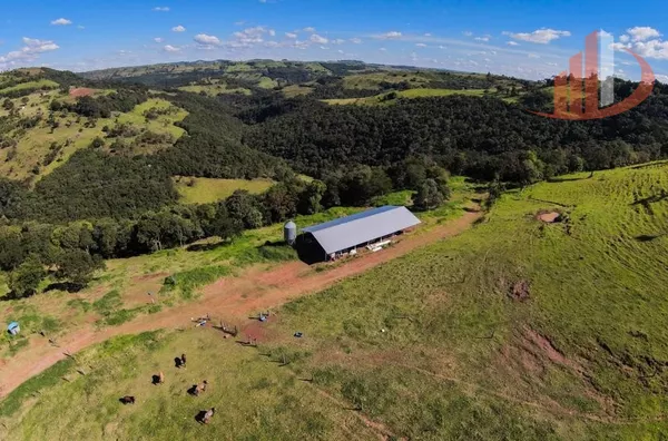 FAZENDO 200 ALQUEIRES NO PARÁ