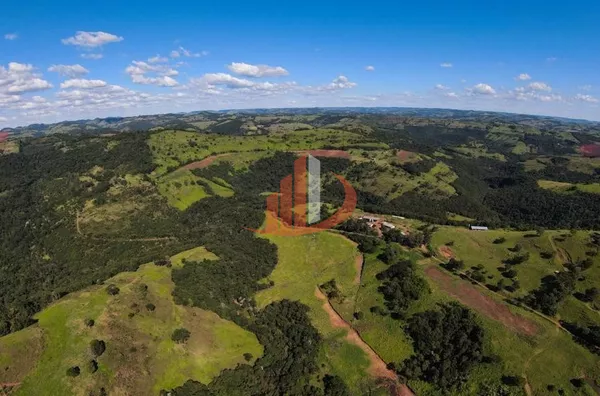 FAZENDA COM 200 ALQUEIRES - Foto 3