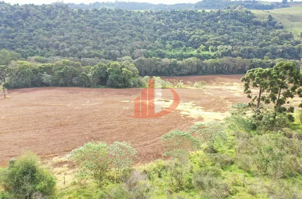 FAZENDA PRÓXIMA A PATO BRANCO PARA VENDA - Foto 9