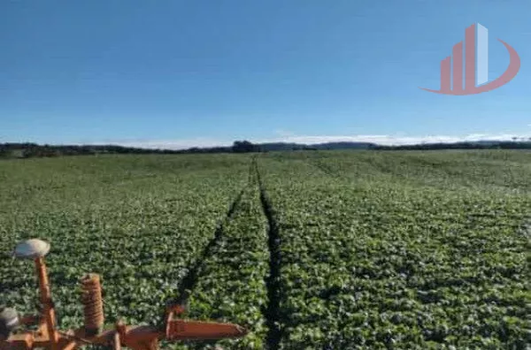 FAZENDA EM PALMAS NO PARANÁ