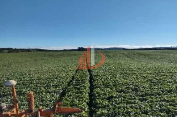FAZENDA EM PALMAS NO PARANÁ