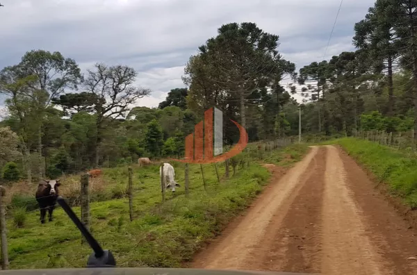 FAZENDA 200 ALQUEIRES REGIÃO SUDOESTE DO PARANÁ - Foto 15