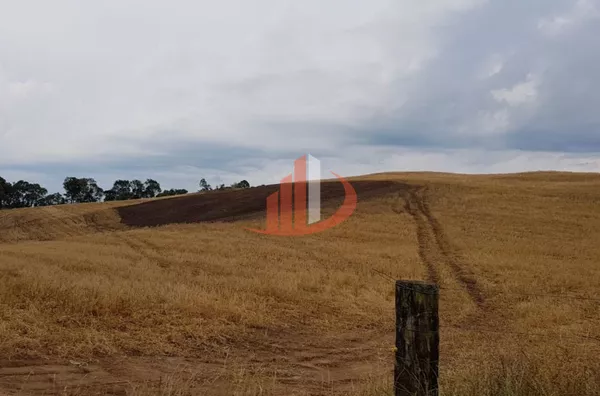 FAZENDA 200 ALQUEIRES REGIÃO SUDOESTE DO PARANÁ - Foto 42