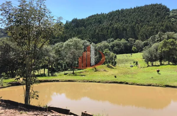 FAZENDA COM 33 ALQUEIRES NO INTERIOR DO PARANÁ - Foto 4