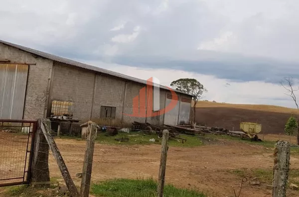 FAZENDA COM 203,5 ALQUEIRES À VENDA NO SUDOESTE DO PARANÁ. - Foto 14