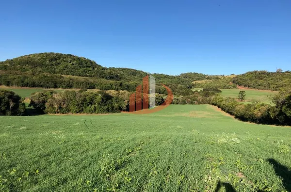 FAZENDA 211,19 ALQUEIRES EM LARANJEIRAS DO SUL/PR - Foto 10