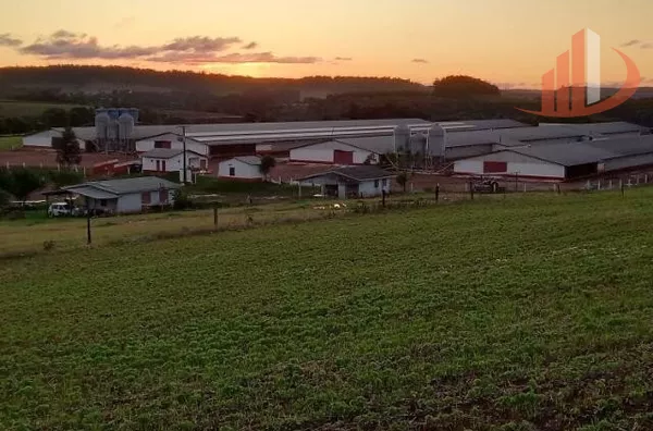 AVIÁRIOS PARA VENDA NA REGIÃO SUDOESTE DO PARANÁ 