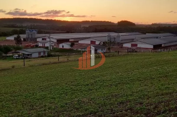 AVIÁRIOS PARA VENDA NA REGIÃO SUDOESTE DO PARANÁ 