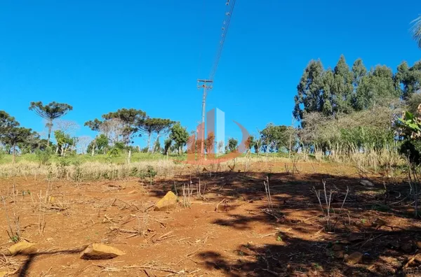 CHÁCARA COM 5 HECTARES PRÓXIMO A PATO BRANCO - Foto 20