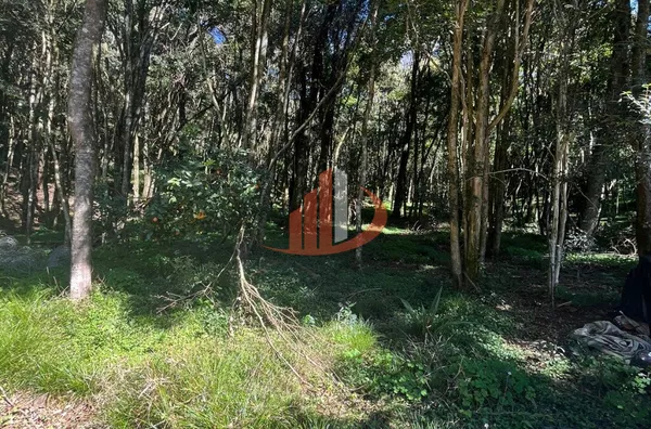 CHÁCARAS À VENDA PRÓXIMAS A PATO BRANCO/PR - Foto 8