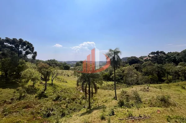 CHÁCARA COM 2,5 ALQUEIRES À VENDA EM VITORINO/PR - Foto 23