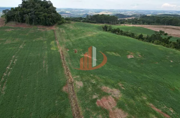 VENDE-SE PROPRIEDADE RURAL Á 18KM DA CIDADE DE PATO BRANCO! - Foto 4