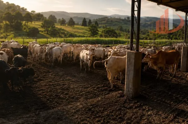 CONFINAMENTO E ÁREA AGRÍCULA PARA ARRENDAMENTO 
