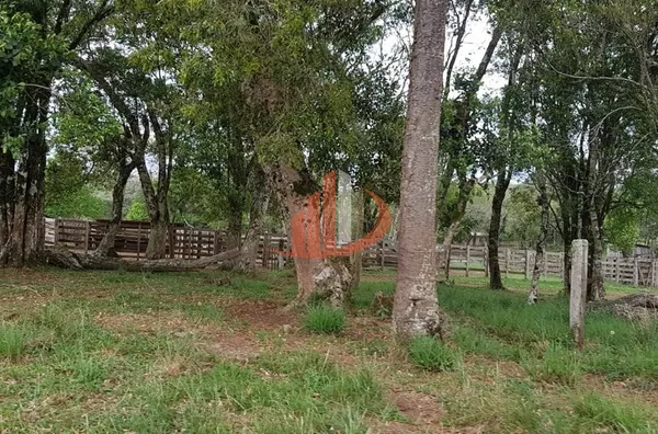 FAZENDA COM 203,5 ALQUEIRES À VENDA NO SUDOESTE DO PARANÁ. - Foto 24
