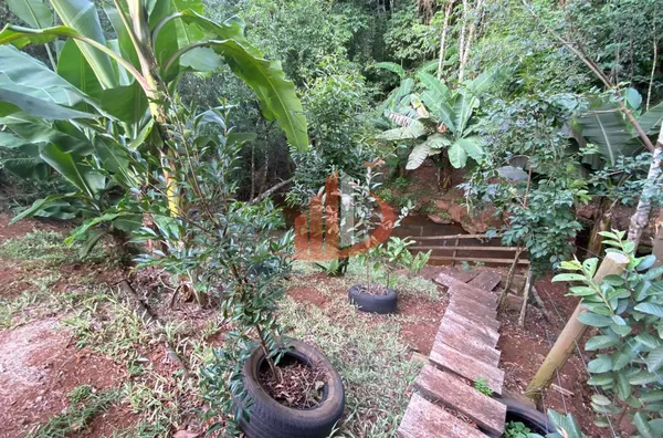 CHÁCARA COM 1200m² PRÓXIMO A ÁREA URBANA EM PATO BRANCO/PR - Foto 19