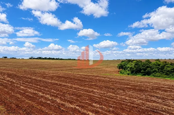 FAZENDA MODELO — OESTE DO PARANÁ - Foto 4