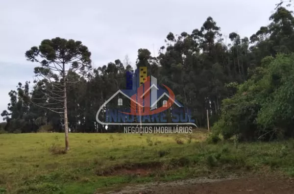 FAZENDA NA REGIÃO DE NOVA LARANJEIRAS/PR - Foto 13