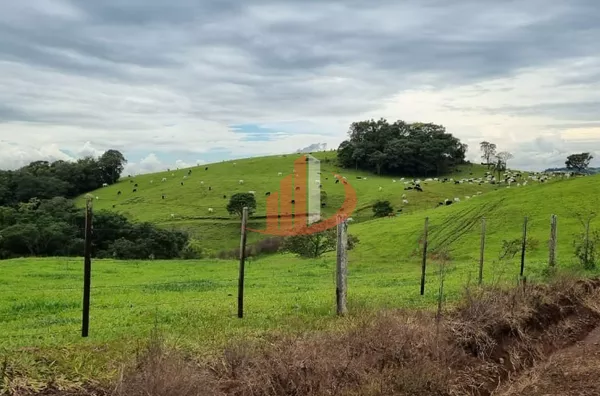 FAZENDA COM DUPLA APTIDÃO, 210 ALQUEIRES, REGIÃO CENTRO SUL DO PARANÁ - Foto 2