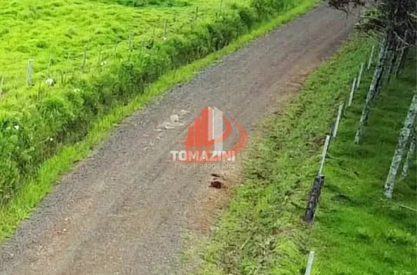 VENDE-SE FAZENDA PRÓXIMO A NOVA LARANJEIRAS! - Foto 8