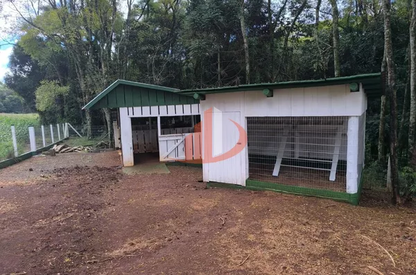 CHÁCARA COM 52.000m² À VENDA EM PATO BRANCO/PR - Foto 41