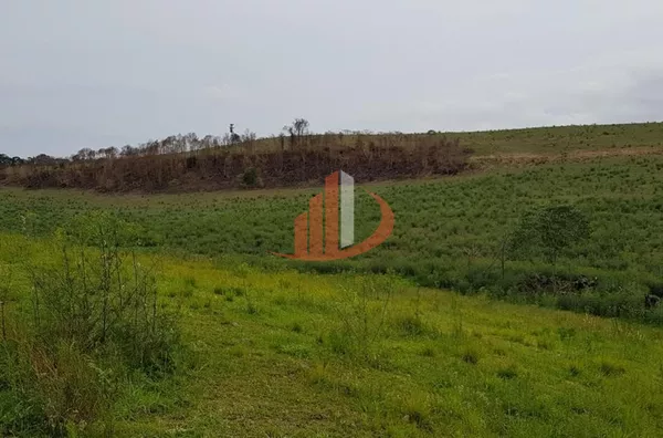 FAZENDA COM 203,5 ALQUEIRES À VENDA NO SUDOESTE DO PARANÁ. - Foto 2