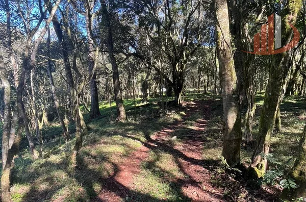 CHÁCARAS À VENDA PRÓXIMAS A PATO BRANCO/PR