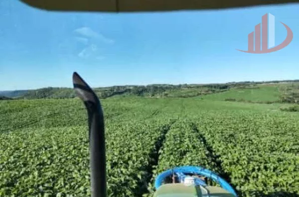 FAZENDA EM PALMAS NO PARANÁ