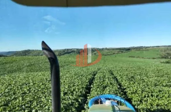 FAZENDA EM PALMAS NO PARANÁ