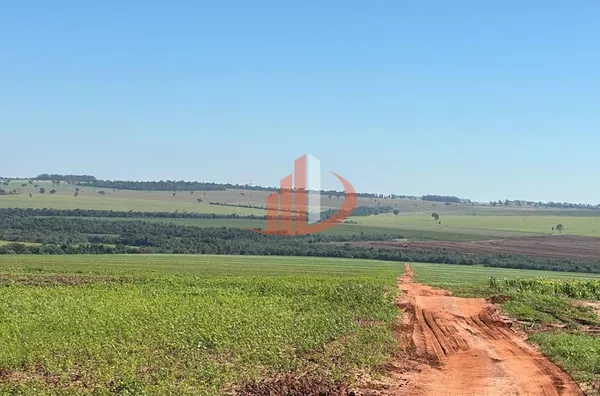 FAZENDA À VENDA EM DOURADOS/MS - Foto 6