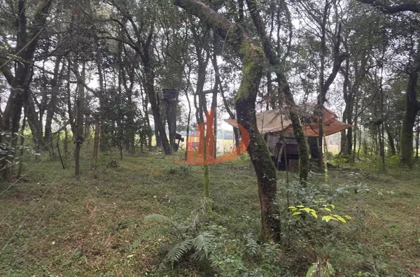 CHÁCARA COM 3000m² EM MARIÓPOLIS/PR - Foto 9
