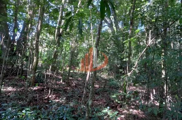 CHÁCARA COM 2,5 ALQUEIRES À VENDA EM VITORINO/PR - Foto 30